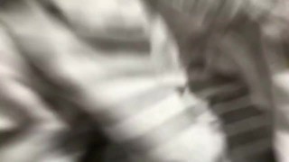 Trenton Ducati breeds new comer Argos