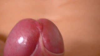 Beautiful Cock in Close Up /// Jordan Wilder